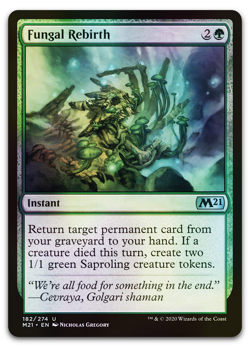 Product image for TCG 215473