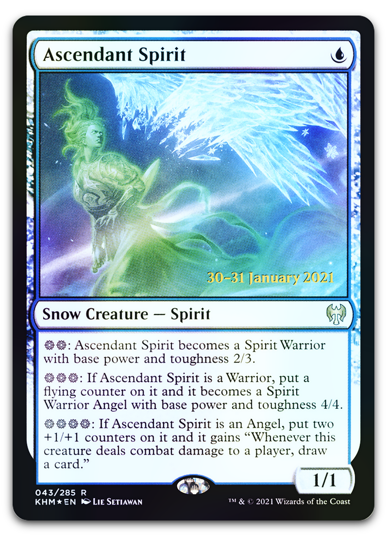 Product image for TCG 231562
