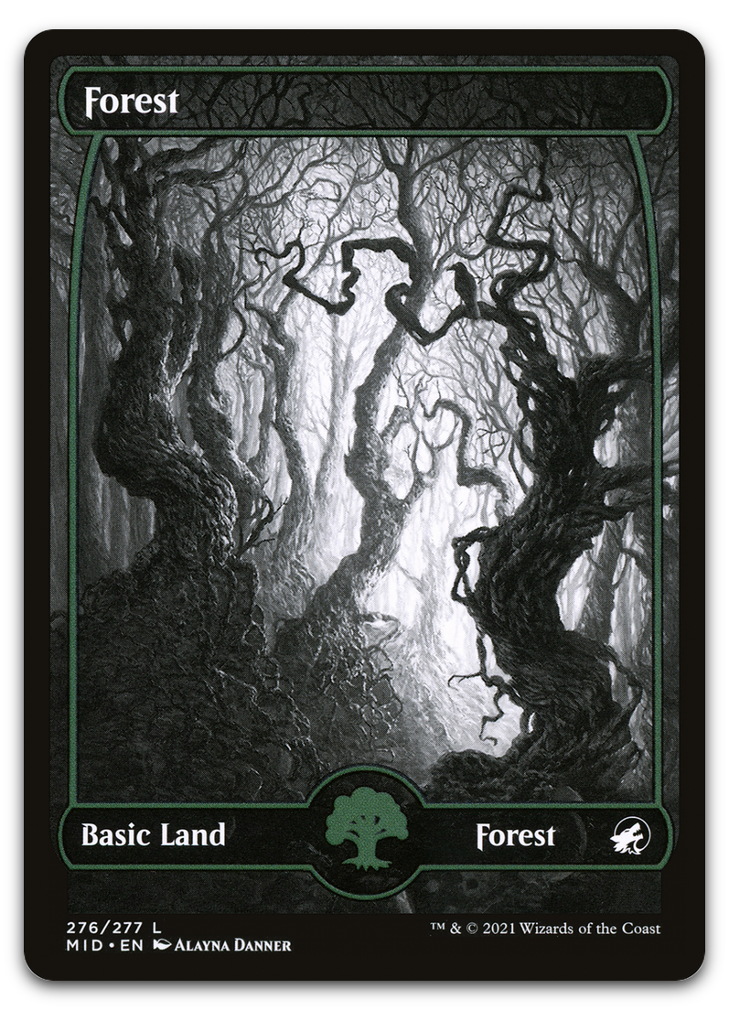Forest (276) (Innistrad: Midnight Hunt)