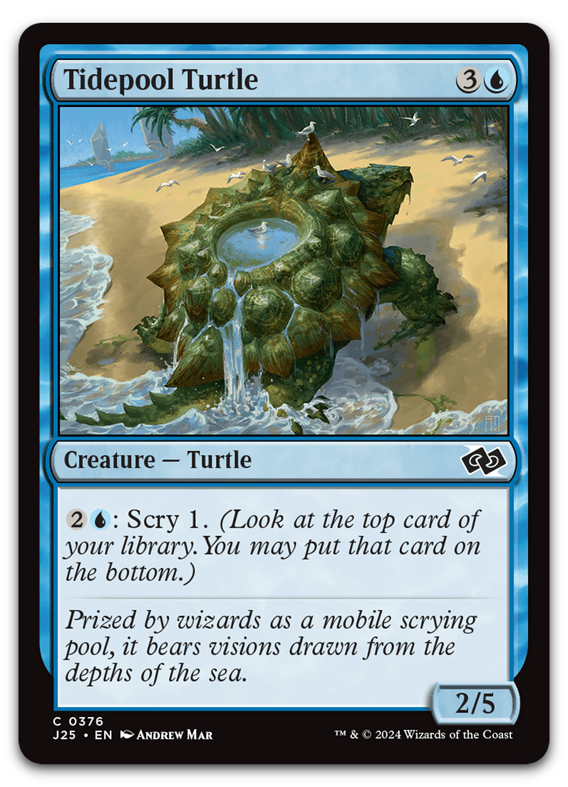 Tidepool Turtle (Foundations Jumpstart)