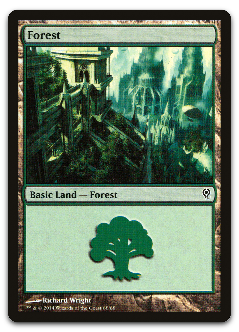 Forest (88) (Duel Decks: Jace vs. Vraska)