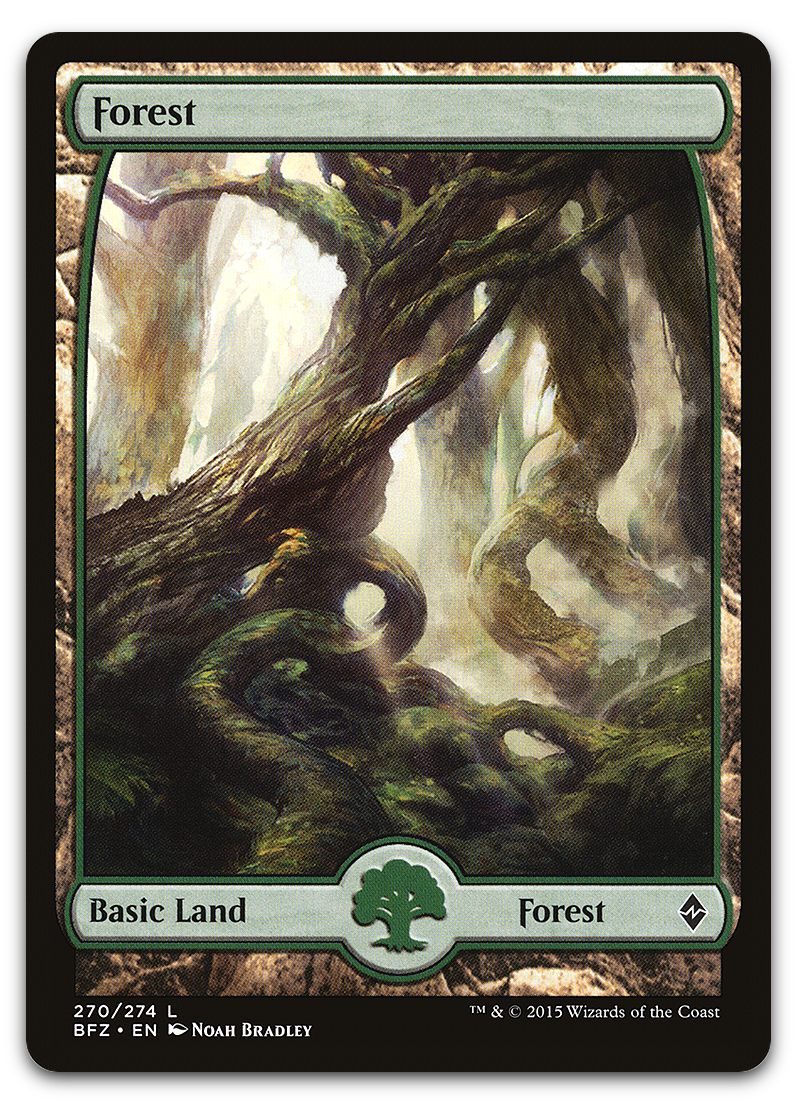 Forest (270) - Full Art (Battle for Zendikar)