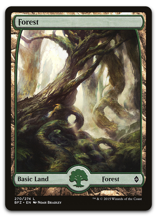 Forest (270) - Full Art (Battle for Zendikar)