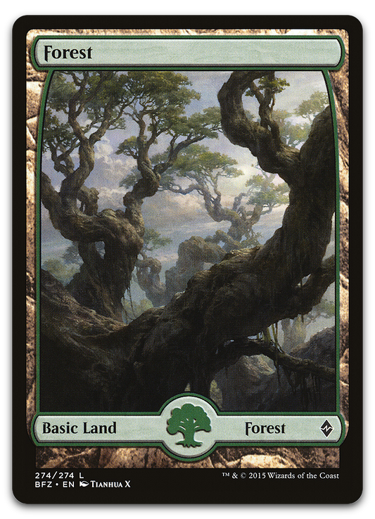 Forest (274) - Full Art (Battle for Zendikar)