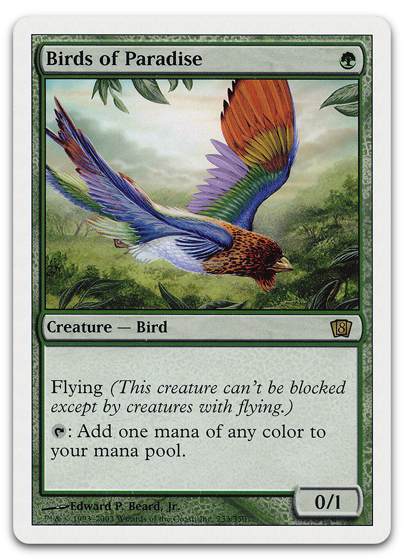 Birds of Paradise (8th Edition)
