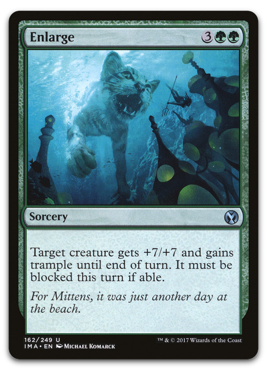 Enlarge (Iconic Masters)