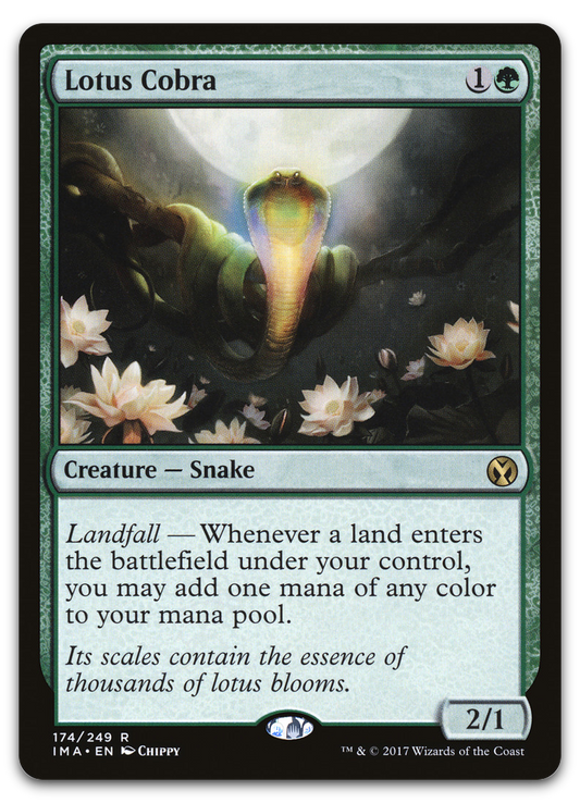 Product image for TCG 145520