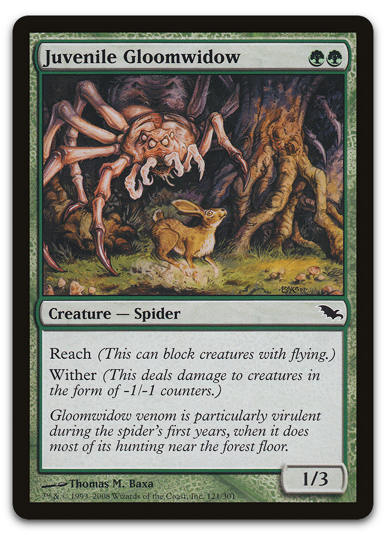 Juvenile Gloomwidow (Shadowmoor)