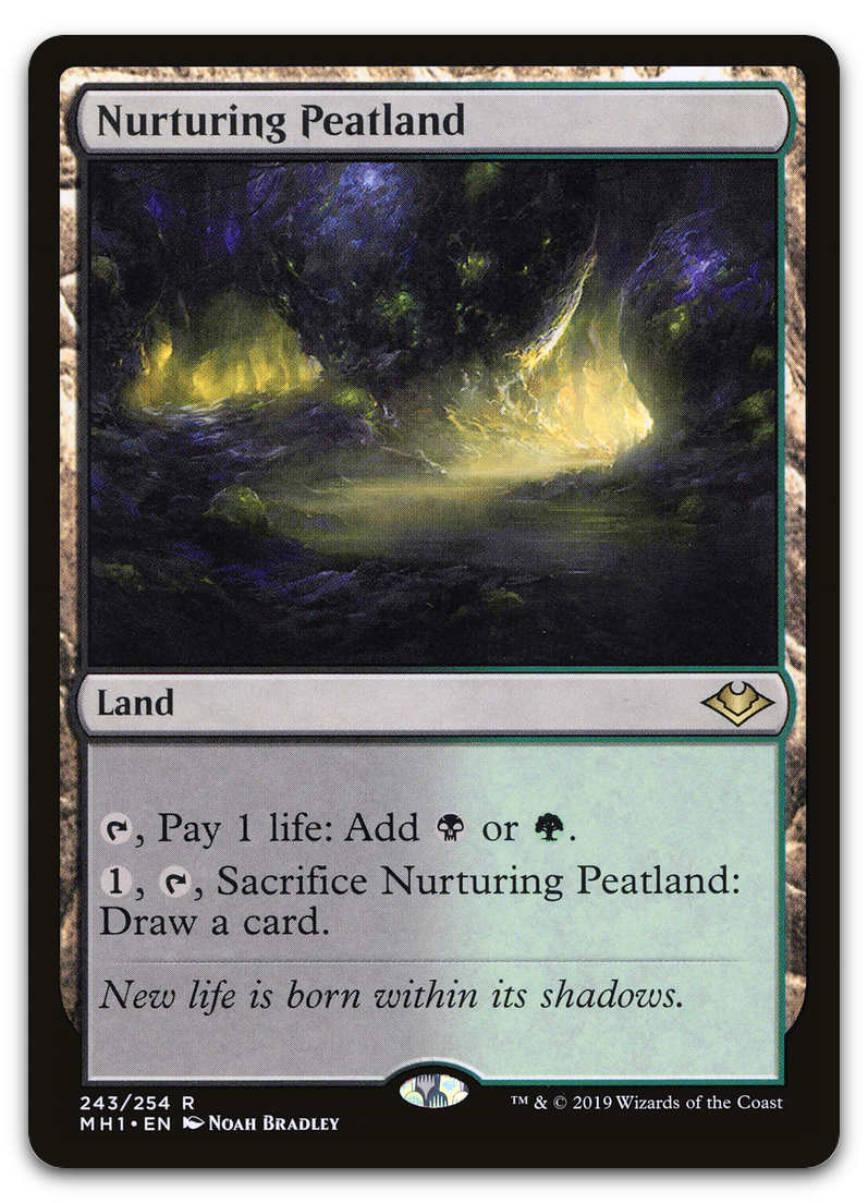 Nurturing Peatland (Modern Horizons)