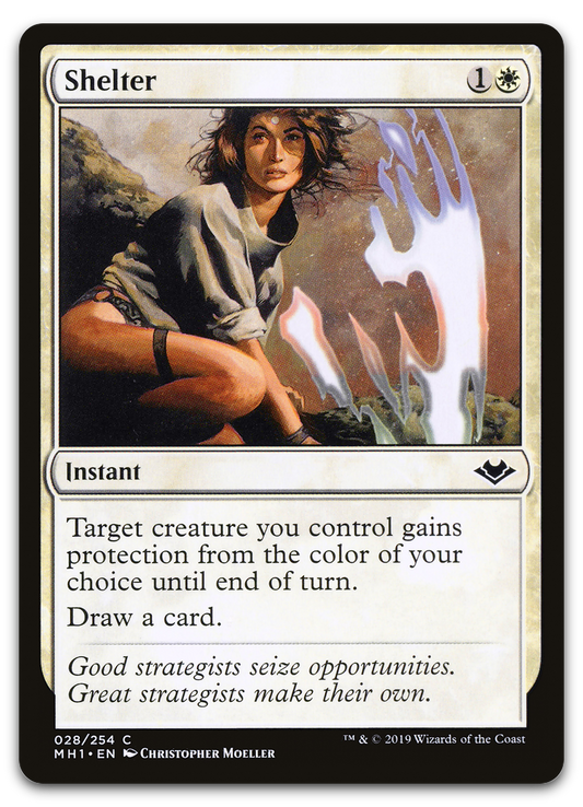 Shelter (Modern Horizons)