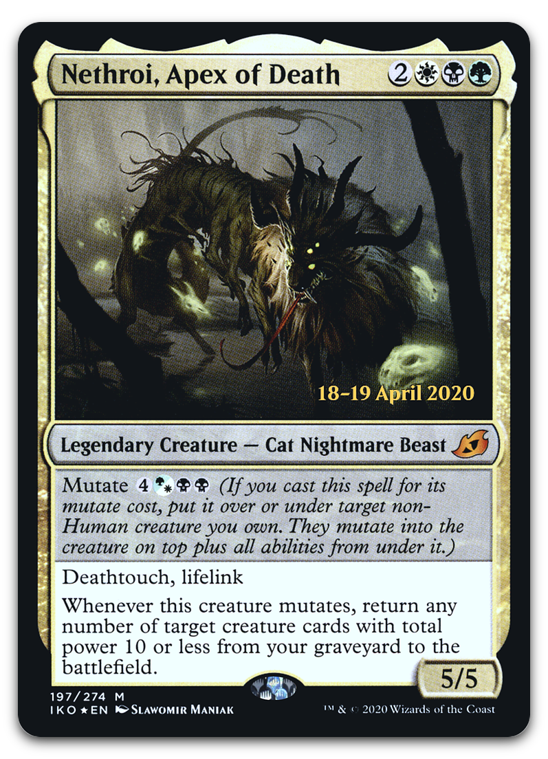 Product image for TCG 214179