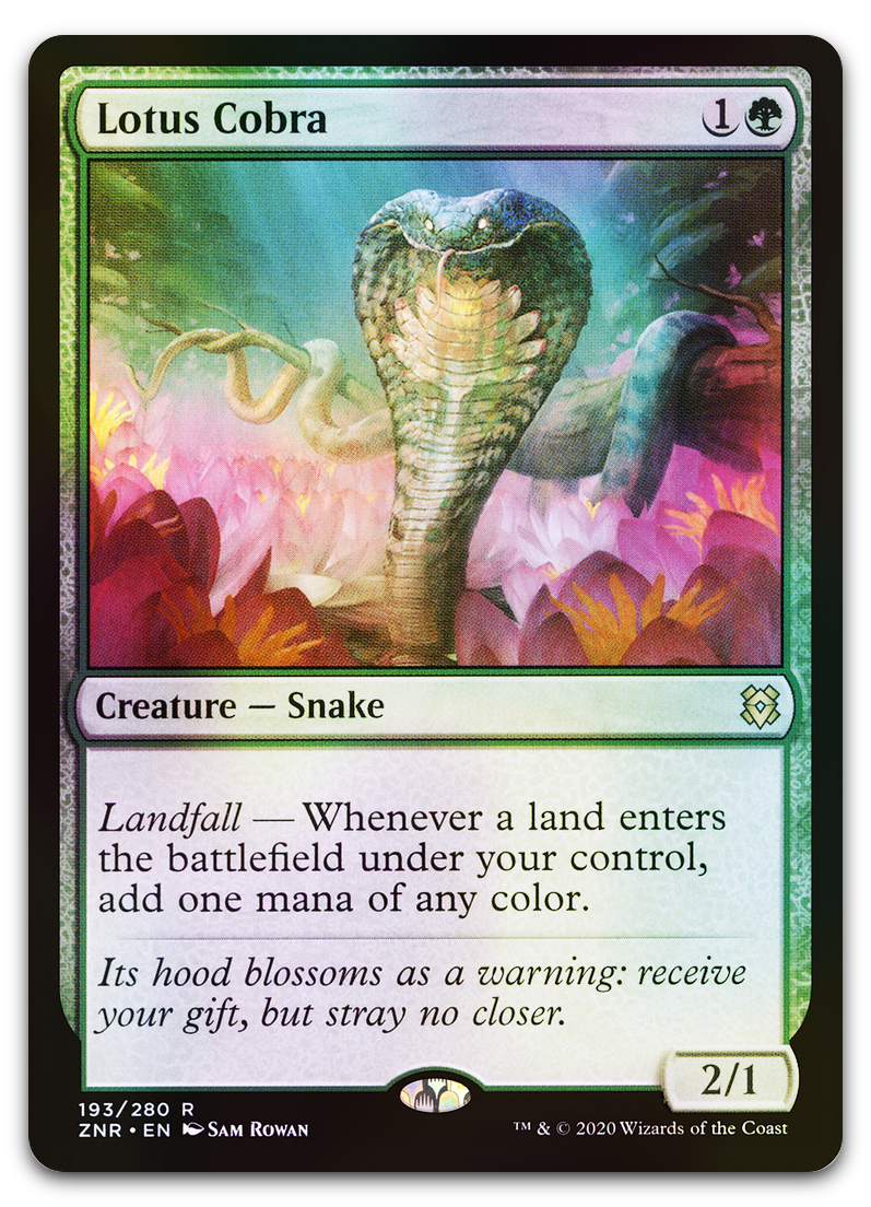 Product image for TCG 221778