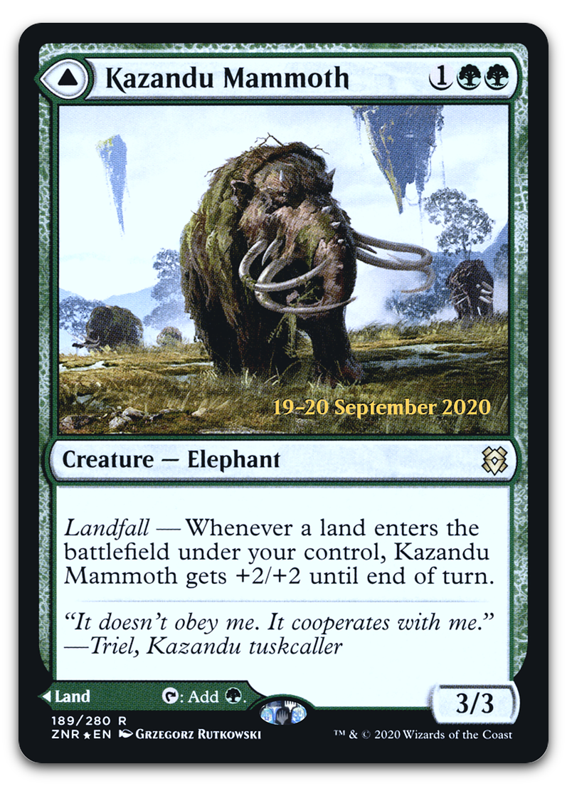 Product image for TCG 223493