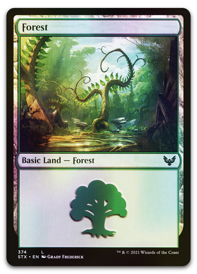 Forest (374) (Strixhaven: School of Mages)