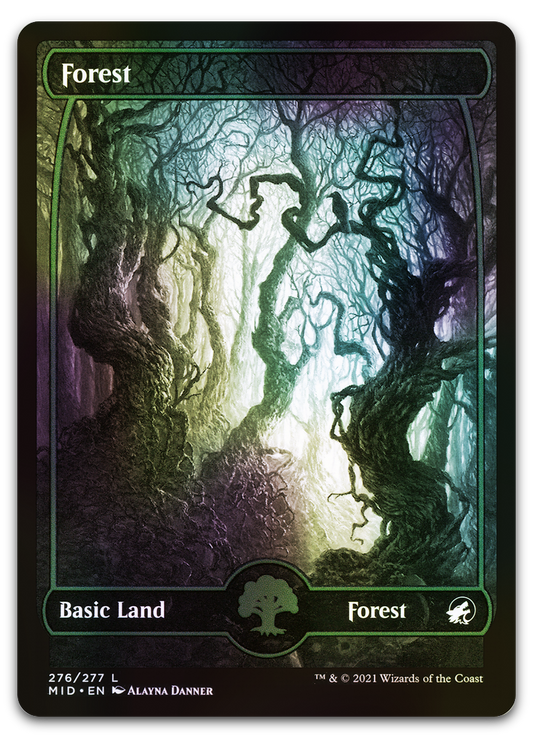 Forest (276) (Innistrad: Midnight Hunt)