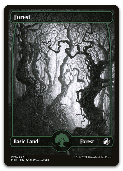 Forest (276) (Innistrad: Midnight Hunt)
