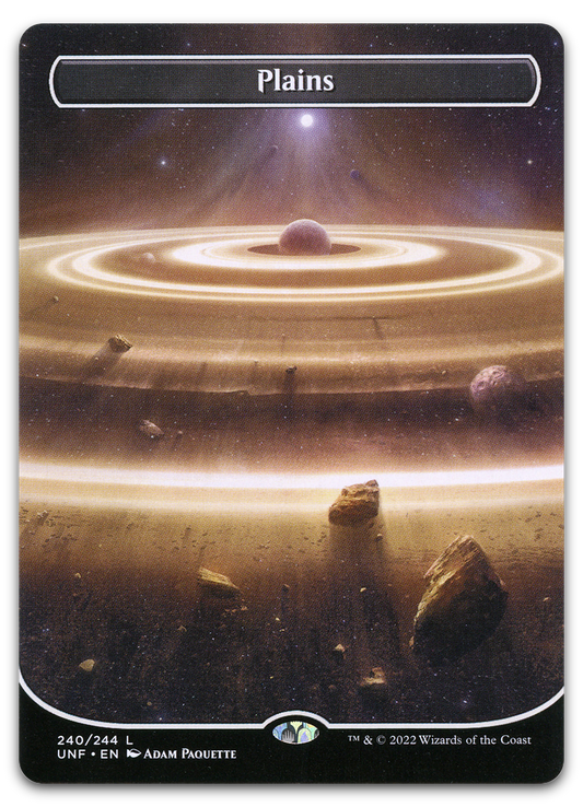 Plains (240) (Borderless) (Unfinity)