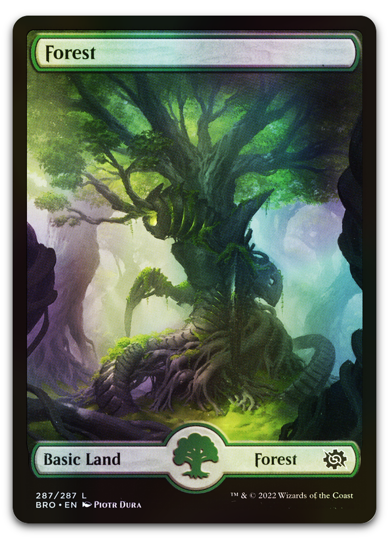 Forest (287) - Full Art (The Brothers' War)