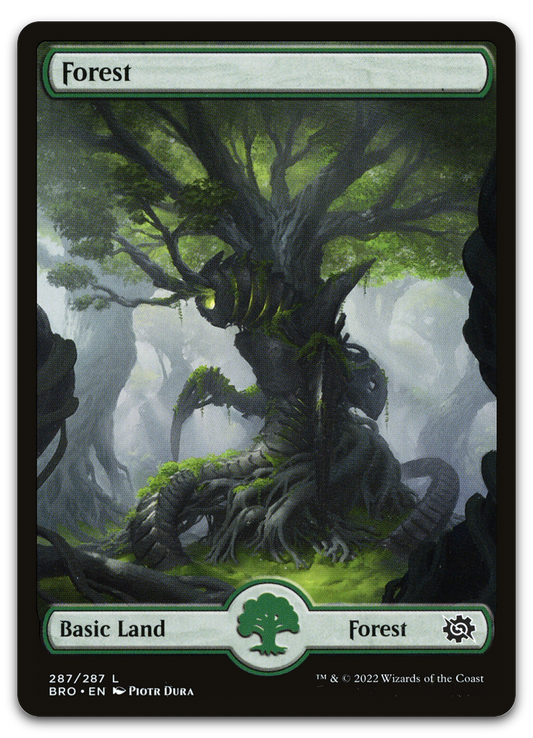 Forest (287) - Full Art (The Brothers' War)