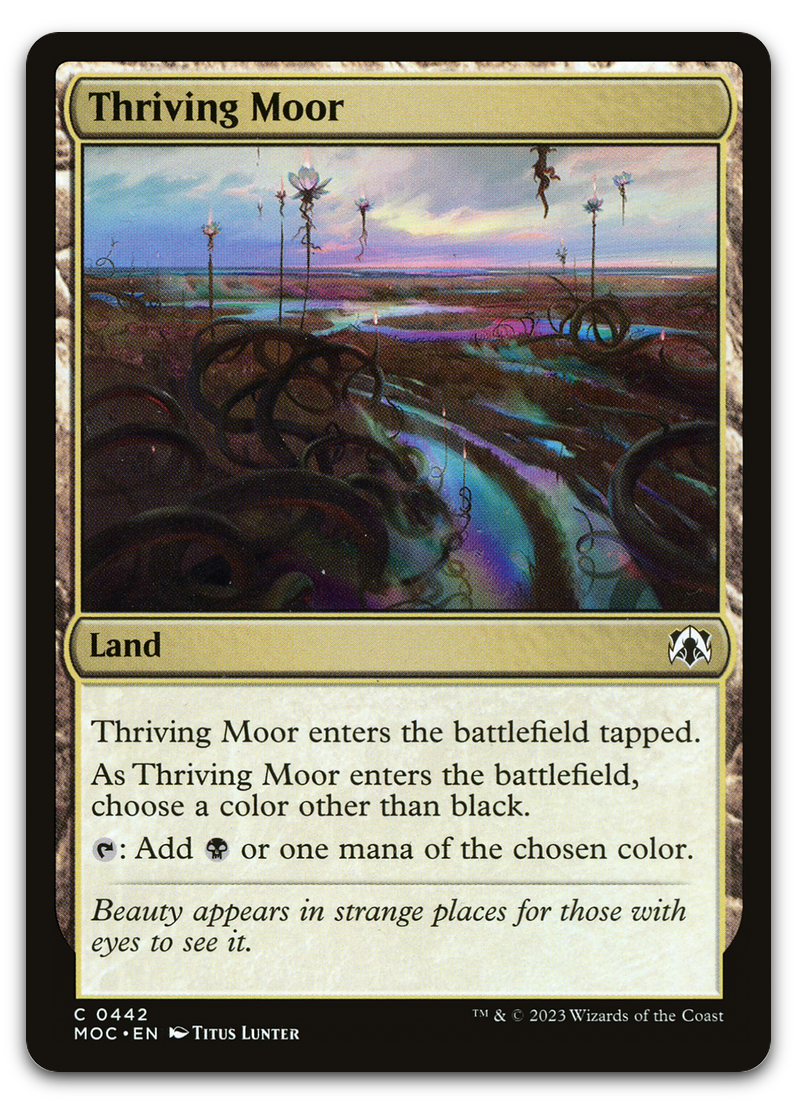 Product image for TCG 491479