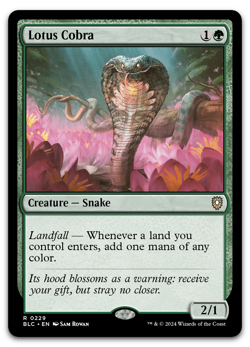 Product image for TCG 559826