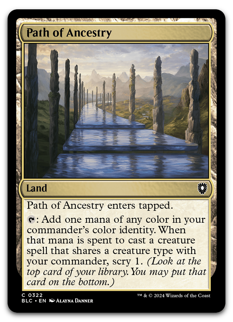 Product image for TCG 559884