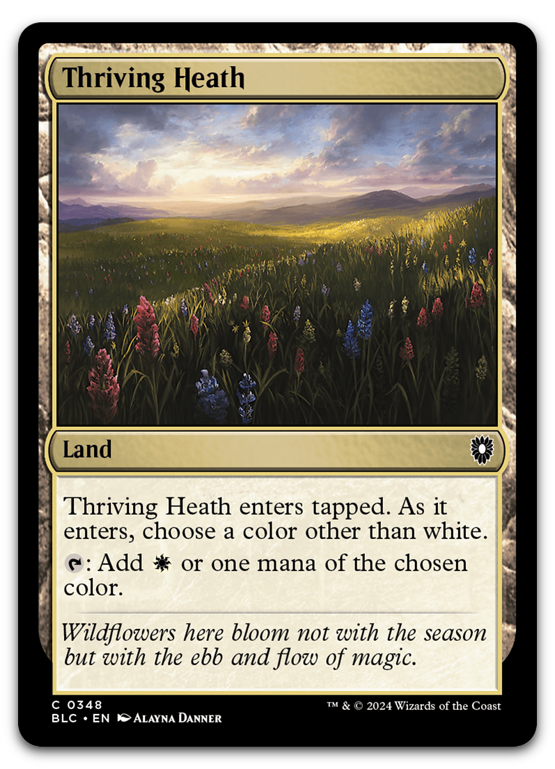 Product image for TCG 559886