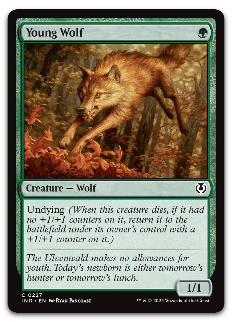 Young Wolf (Innistrad Remastered)