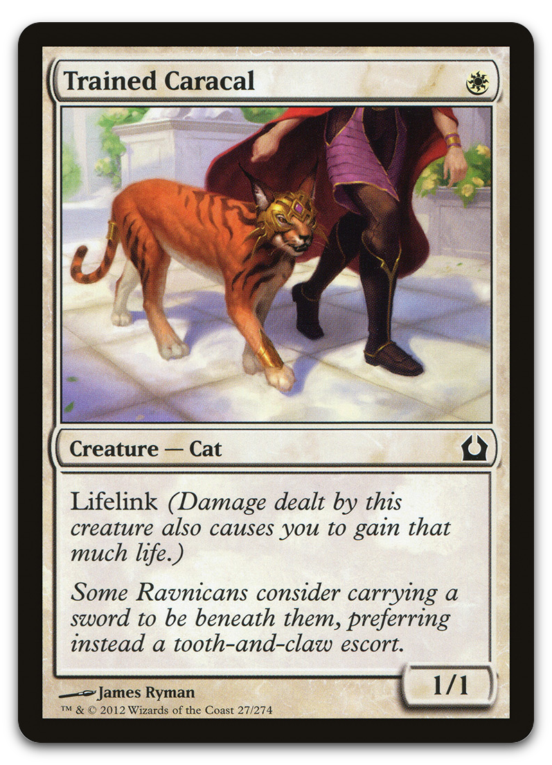 Product image for TCG 66641