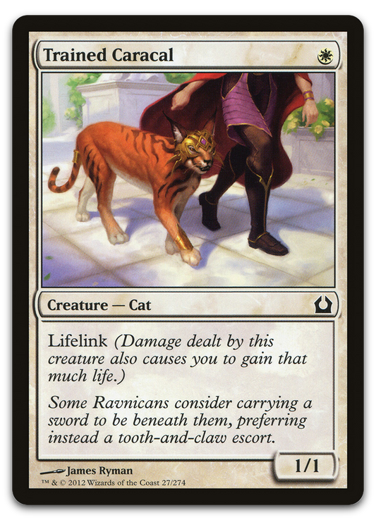 Product image for TCG 66641