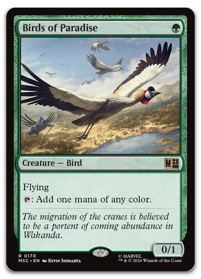 Product image for TCG 698193
