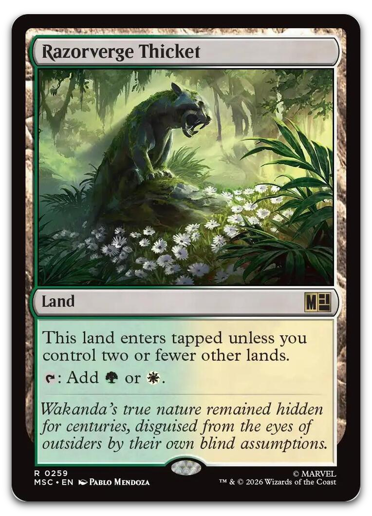 Product image for TCG 698228