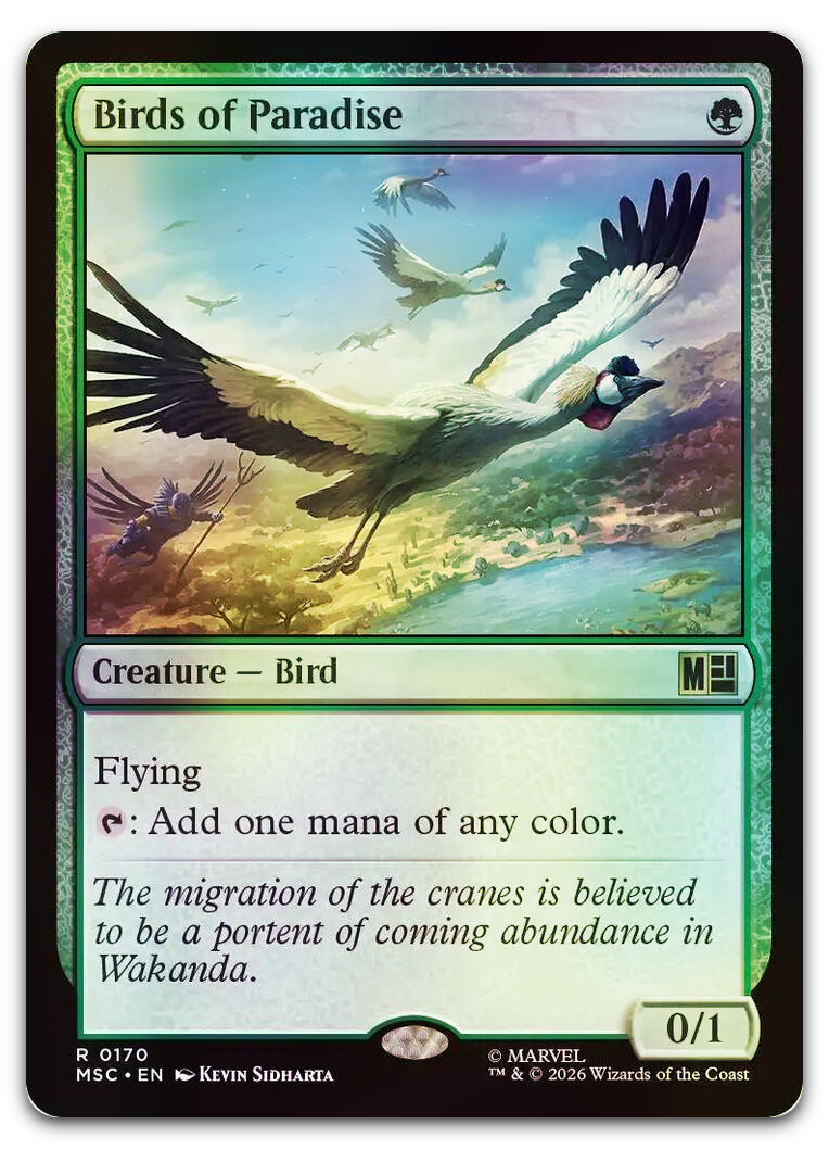Product image for TCG 698260