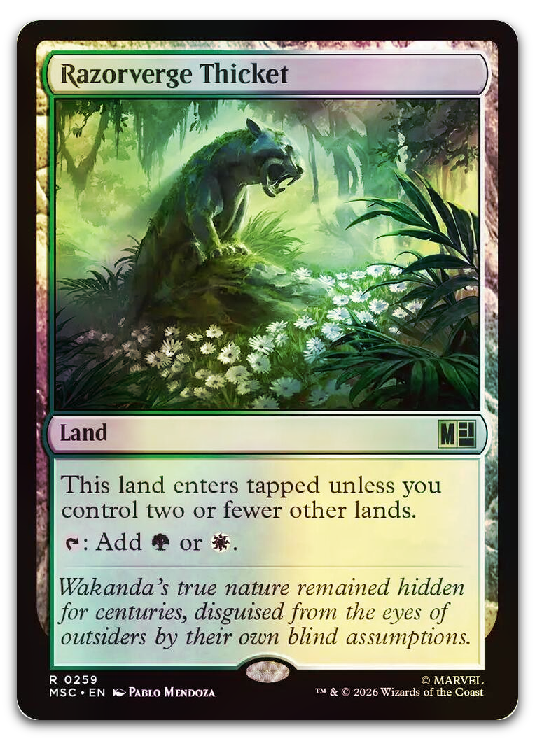 Product image for TCG 698295