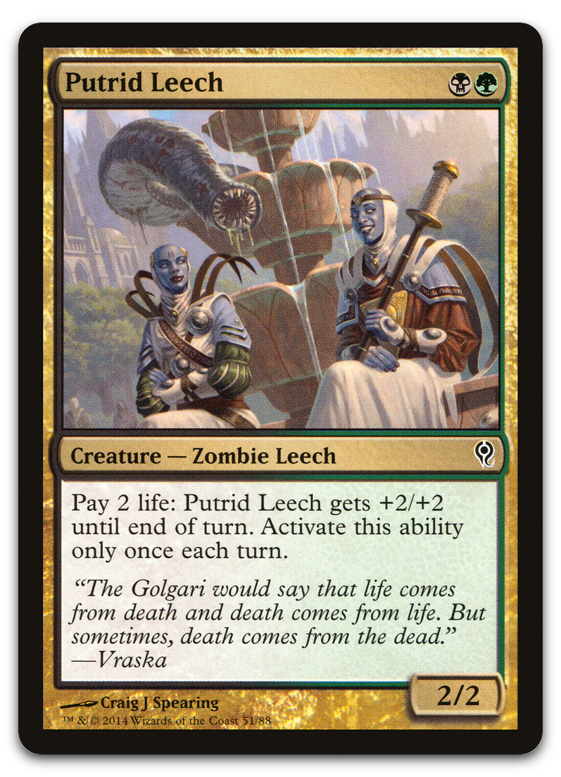 Putrid Leech (Duel Decks: Jace vs. Vraska)