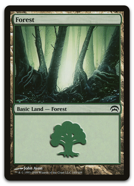 Forest (165) (Planechase)