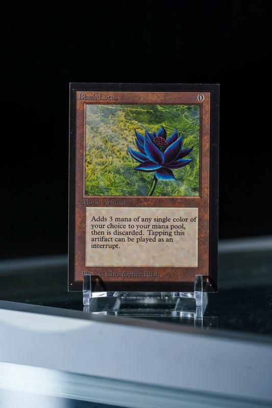 Magic: The Gathering | Collector's Edition | Master Set (LP/MP)