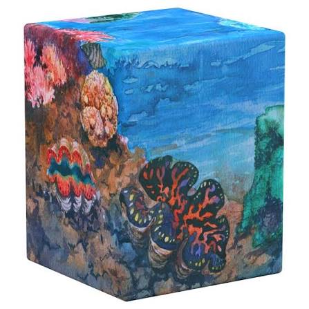 Deck Case: RTE Boulder 100+ Coral Places- Coraline Eden
